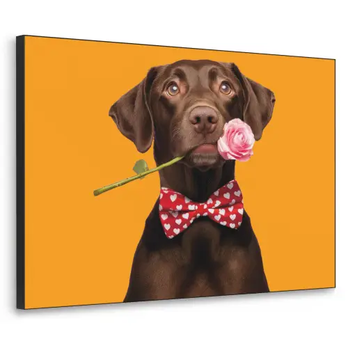 Hond - Oranje - Roos - Valentijn Textielframe zwart klein -3d