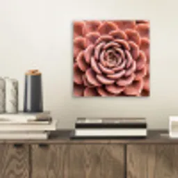 Vetplant - Organisch - Roze aluminium wit klein -sfeer1