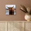 Schotse hooglander - Bruin - Water aluminium wit klein -sfeer4