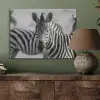 Zebra's - Zwart - Wit PET vilt klein -sfeer2