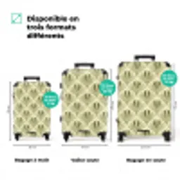 Klassiek - Waaier - Groen NBS - Handbagage koffer - Volwassenen Unisex middel zzzzzzVergelijking_3FR