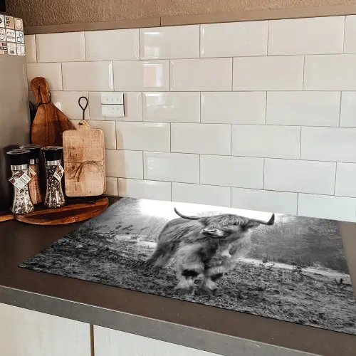 Heerser van de Mist Inductie beschermer vinyl 3mm klein -sfeer3