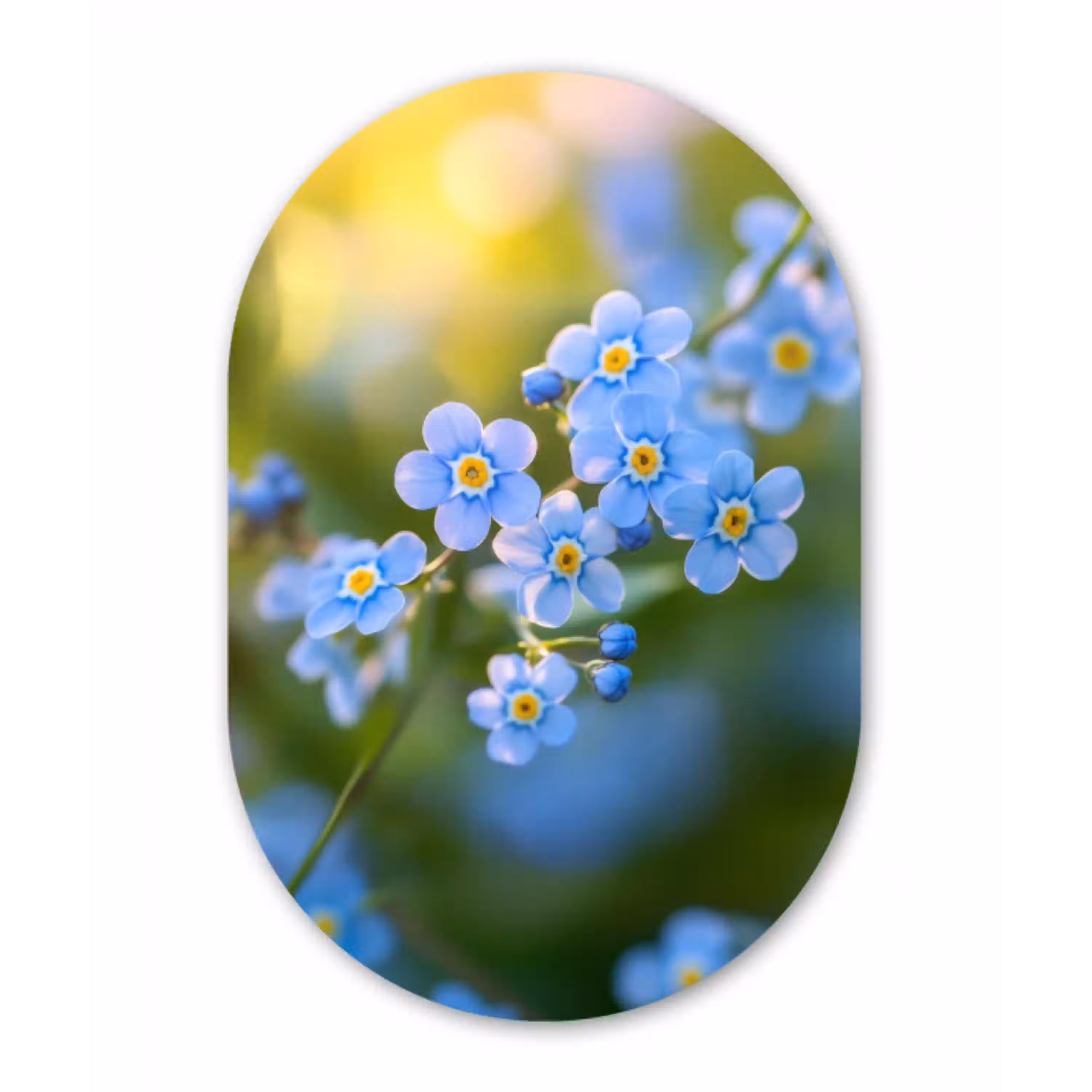 Bloemetjes - Blauw - Vergeet mij nietjes Wandcirkel Ovaal Aluminium middel -3d