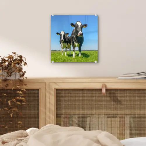 Koeien - Weiland - Gras - Dieren - Boerderij plexiglas 5mm klein -sfeer4