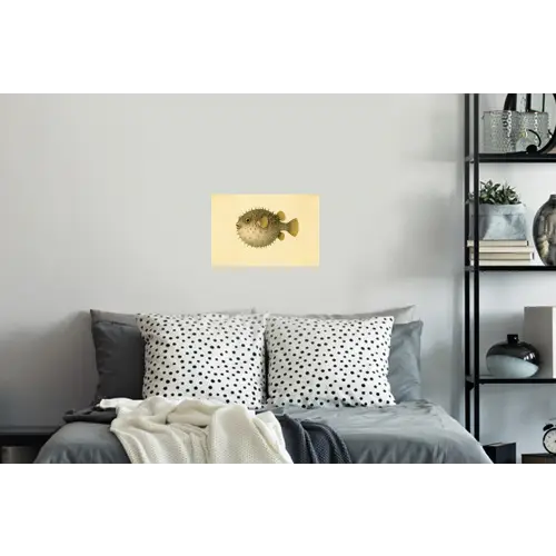 Stekels - Vis - Opgeblazen - Bruin Muursticker klein -slaapkamer