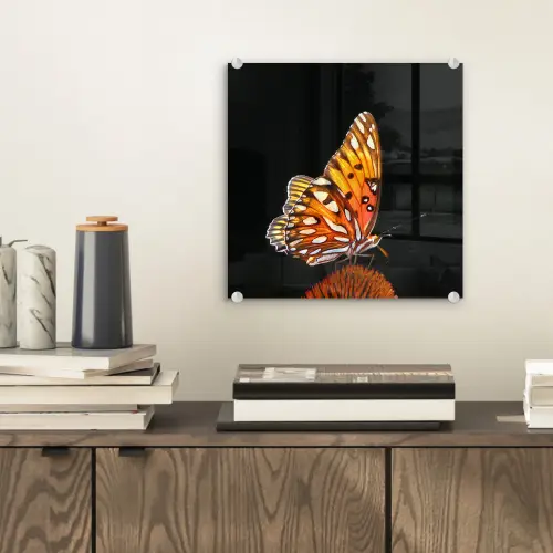 Vlinder - Bloemen - Insect - Portret - Zwart - Oranje plexiglas 5mm klein -sfeer1