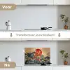 Koi - Zee - Golven - Zon keuken achterwand spatscherm klein -voor_na_NL