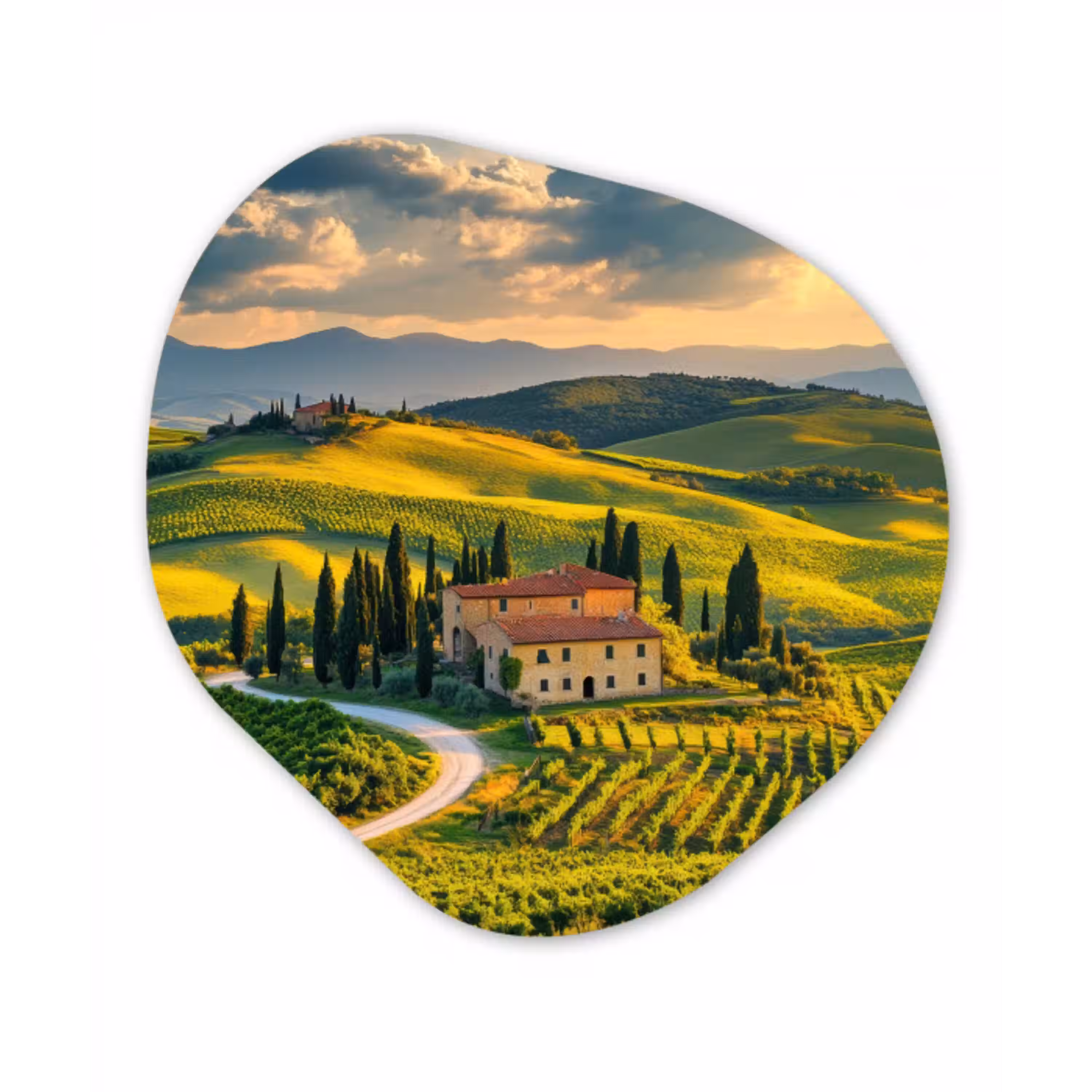 Toscane - Landschap - Wijngaarden Wandcirkel Organisch Aluminium middel -3d