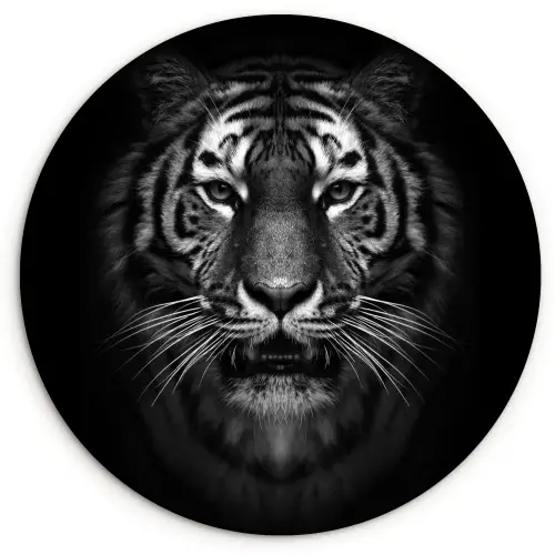 Tijger - Dieren - Zwart - Wit - Portret - Wild Wandcirkel kunststof plaat 5mm dik klein -3d