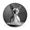 Sphynx - Kat - Dieren - Humor - Spaghetti - Zwart Wit Wandcirkel aluminium klein -3d