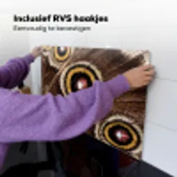 Vlinder - Vleugel - Abstract Inductie beschemer met haakjes klein -ky-ophangen-nl