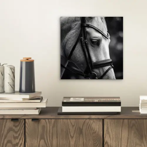 Paard - Schimmel - Portret aluminium wit klein -sfeer1