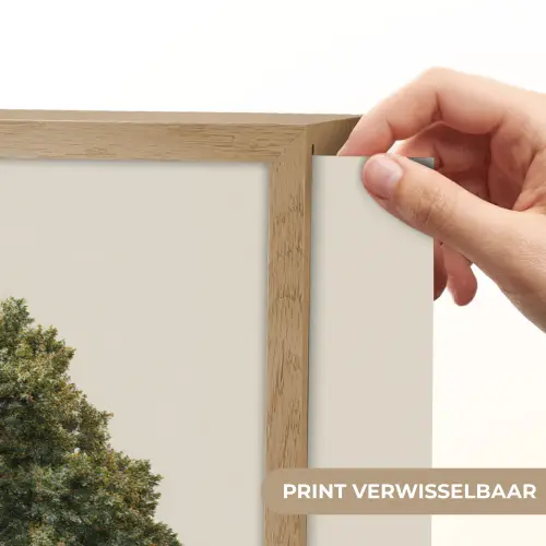 Eikenboom - Groen - Lichte achtergrond Light Box met batterij (Wandlamp) middel -USP_websiteprintNL