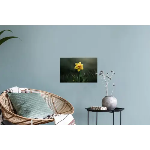Bloem - Narcis - Gras - Geel Muursticker klein -plant