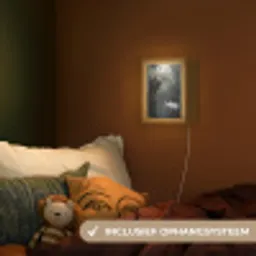 Zwanen - Rivier - Bos Light Box met kabel (Kinderlampje) klein -sfeer5_kind