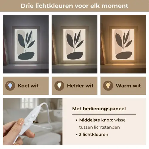 Plant - Beige - Japandi Light Box met kabel (Tafellamp) klein -USP_lichtkleurNL
