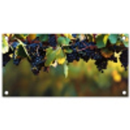 Druiven - Wijn - Natuur - Groen tuinposter los doek klein -3d