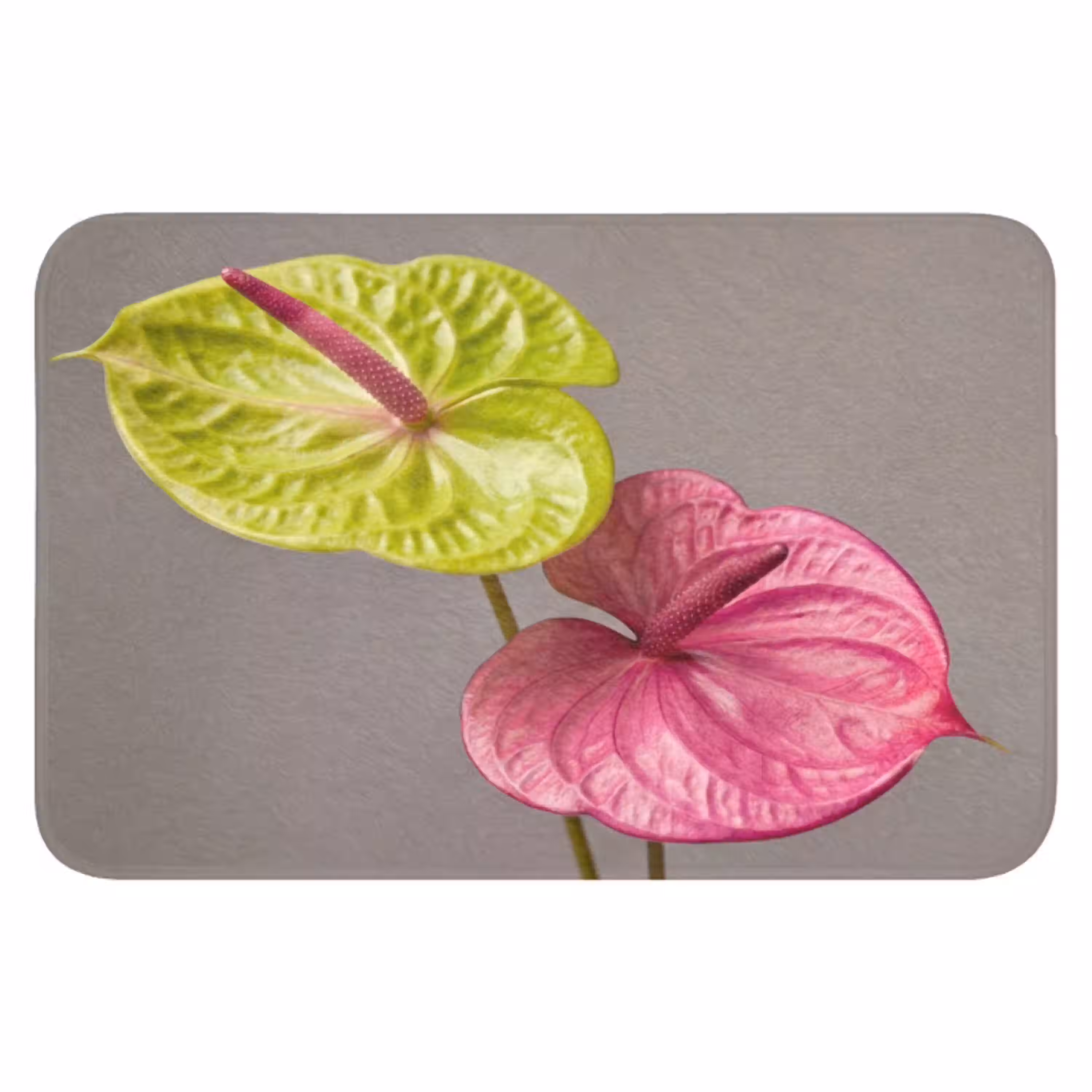 Planten - Anthurium - Groen - Roze WCmat klein -3d
