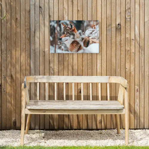 Wolf - Sneeuw - Winter - Dieren - Natuur - Sneeuw Tuinposter op houten frame 2 cm dik klein -sfeer4