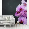 Orchidee - Bloemen - Roze - Flora fotobehang vinyl groot -woonkamer