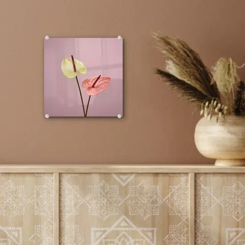 Bloemen - Anthuriums - Geel - Roze plexiglas 5mm klein -sfeer5