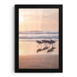 Zee - Vogels - Strand fotolijst zwart zonder passe partout klein -3d
