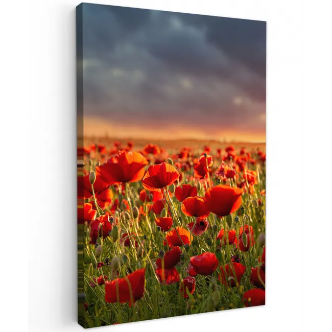 Zonsondergang - Klaprozen - Rood - Bloemen - Veld - Natuur canvas 2cm klein -z3d