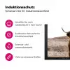 Wachter van de Hooglanden Inductie beschermer vinyl 3mm klein -zzzzzzz-lf-ups