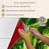 Groente - Sla - Groen keuken achterwand spatscherm klein -spatscherm_NL