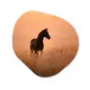 Paard - Grasveld - Zonsondergang Wandcirkel Organisch Forex 3mm klein -3d