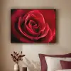 Rood - Roos - Romantisch Textielframe zwart klein -sfeer1