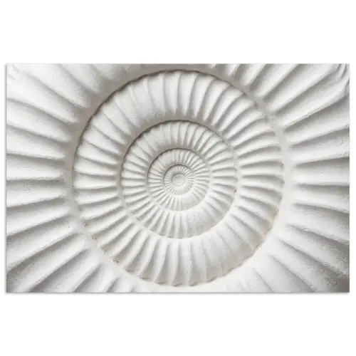 Schelp - Spiraal - Wit poster papier klein -3d