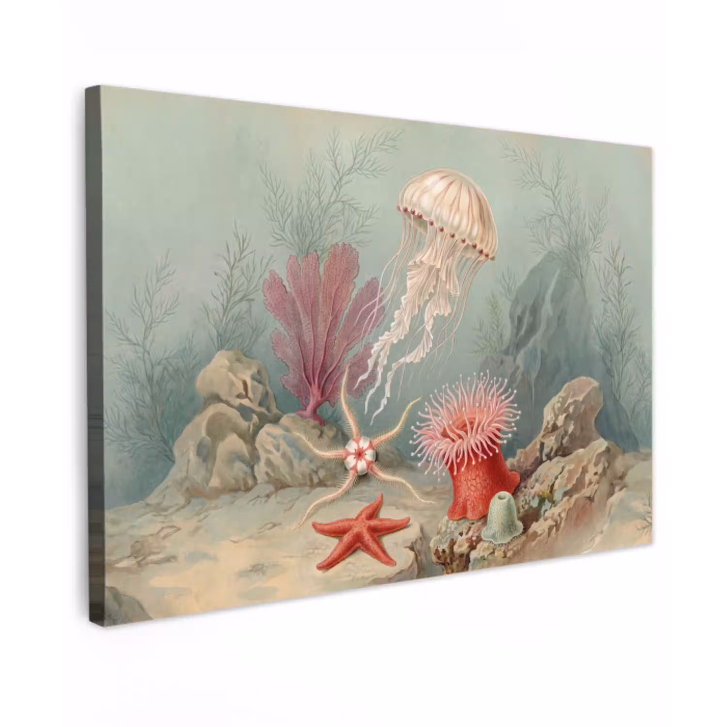 Zeeleven - Kwal - Onderwater - Illustratie - Beige Tuinposter op houten frame 2 cm dik klein -3d