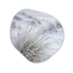 Duinen - Sneeuw - Strand - Winter - Serene Wandcirkel Organisch Aluminium middel -3d