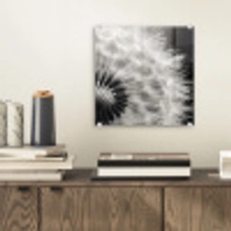 Paardenbloem - Zwart - Wit plexiglas 5mm klein -sfeer1