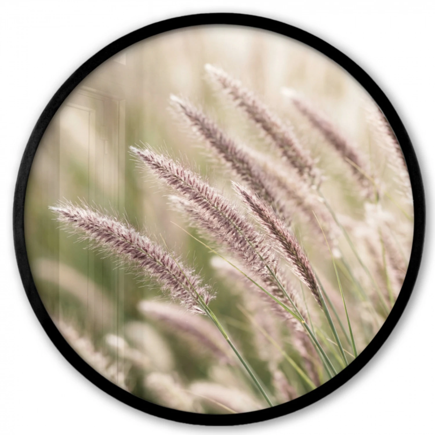 Gras - Close up - Groen Fotolijst rond zonder passe partout klein -3d