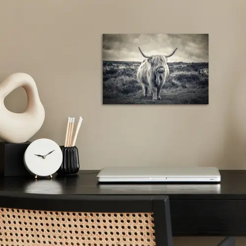 Schotse hooglander - Dieren - Wolken - Koe - Natuur poster papier klein -sfeer1
