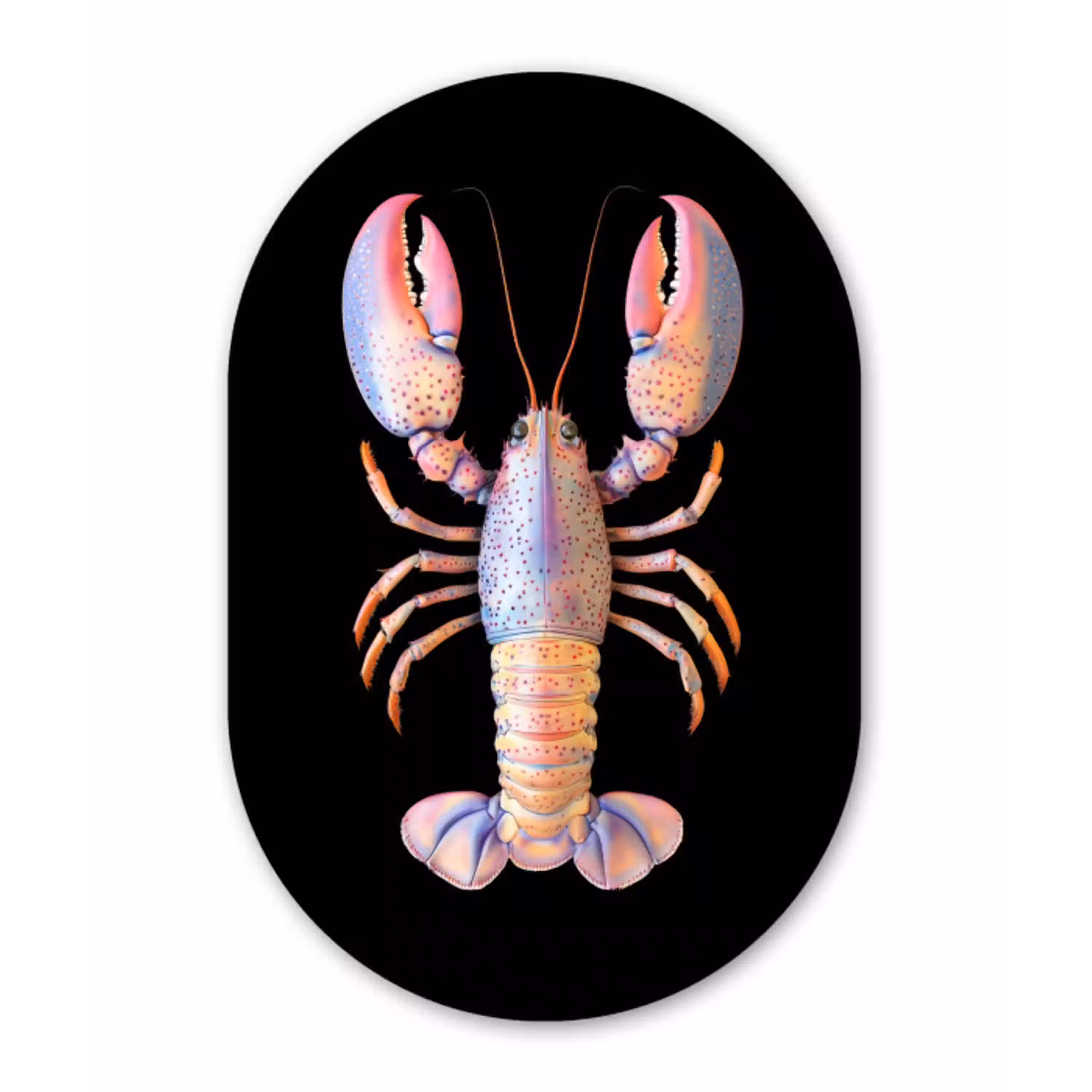 Kreeft - Roze - Zacht - Zwart Wandcirkel Ovaal Glas middel -3d