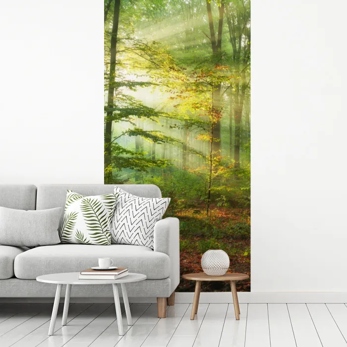 Zon - Bos - boom - Natuur - Herfst fotobehang vinyl groot -woonkamer