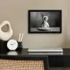 Sphynx - Kat - Dieren - Humor - Spaghetti - Zwart Wit fotolijst zwart zonder passe partout klein -sfeer1