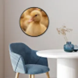 Pijltje - Eend - Natuur - Geel Fotolijst rond zonder passe partout klein -sfeer2