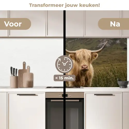 Schotse hooglander - Bergen - Grasveld keuken achterwand 2 middel -voor-na2_NL