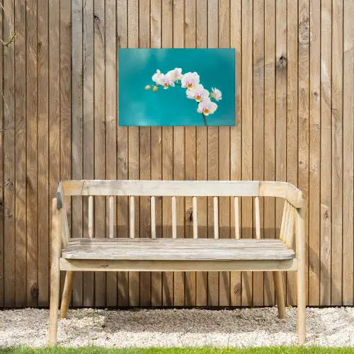 Orchidee - Bloemen - Plant - Wit - Paars Tuinposter op houten frame 2 cm dik klein -sfeer4