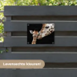 Giraffe - Dieren - Zwart - Portret - Dieren tuinposter los doek klein -sfeer3