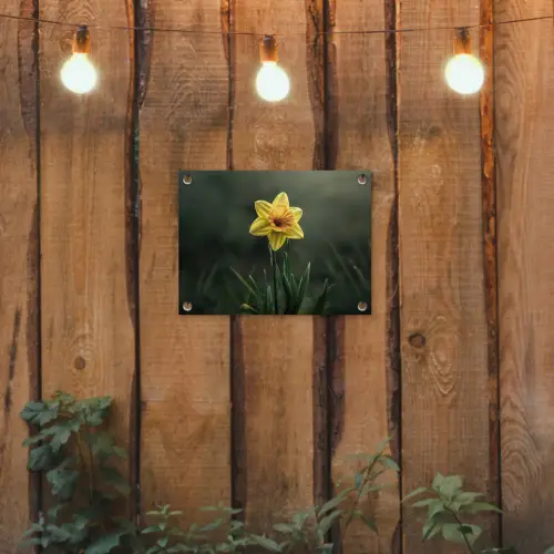 Bloem - Narcis - Gras - Geel tuinposter los doek klein -sfeer1