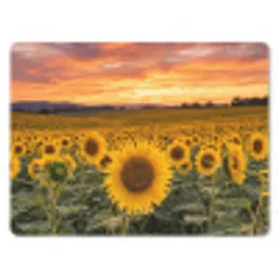 Zonnebloemen - Heuvellandschap - Geel muismat rubber klein -3d