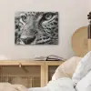 Luipaard - Zwart - Wit - Oog PET vilt klein -sfeer3