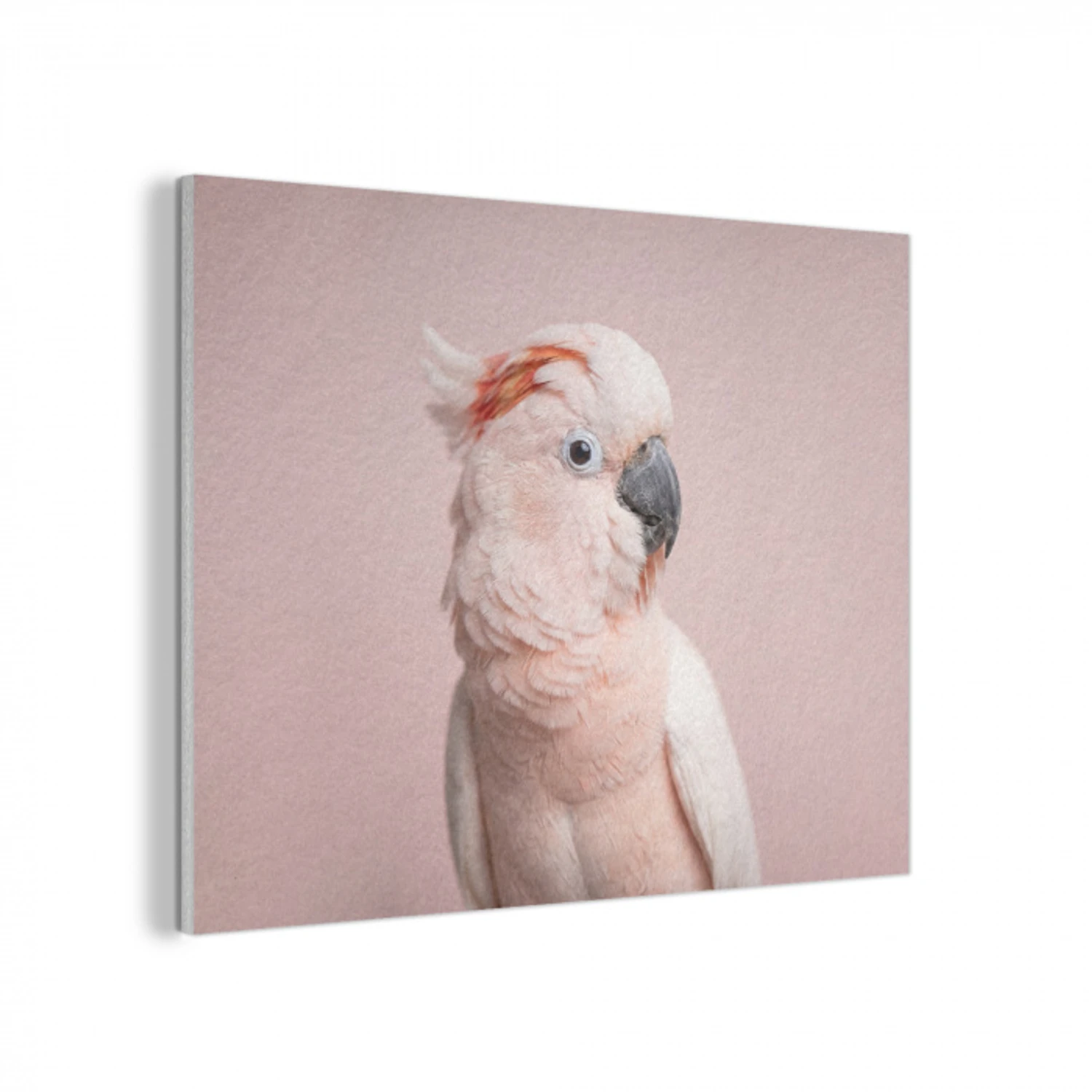 Kaketoe - Portret - Roze PET vilt klein -3d