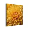 Geel - Chrysant - Zachtheid aluminium wit klein -3d