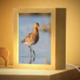 Vogel - Steltloper - Water - Natuur Light Box met kabel (Kinderlampje) klein -zzzz_3d_website
